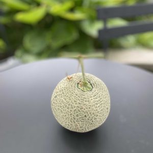 北海道,オーガニック,スーパーグリーン,ピノダディー,テーブルdeメロンの画像