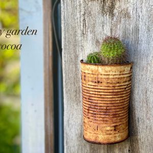 サボテン,リメイク,緑のある暮らし,ナチュラルスタイル,繋がりに感謝✨の画像