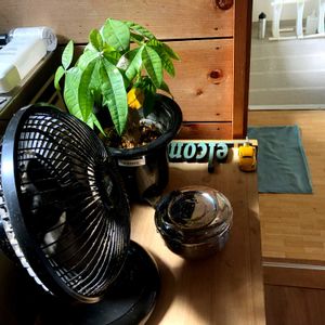 パキラ,GSに感謝。,GS皆様ありがとう,日産スカイライン,バス/トイレの画像