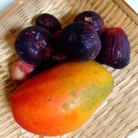 イチジク,マンゴー,いただきもの,人との繋がりに感謝✨,今日も元気に頑張ろう‼️の画像