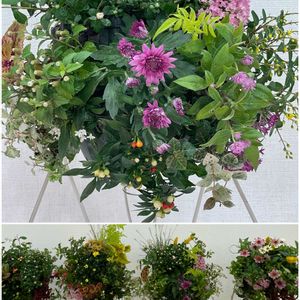 パキスタキス・ルテア,ガーデンマム,ジャスミン・フィオナサンライズ,ガーデンマム ジジ,寄せ植えの画像