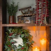 とうがらし,ドドナエア,ユーカリポポラス,ローリエ,リースの画像