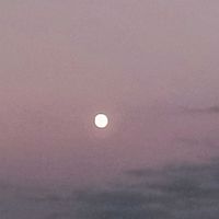綺麗なお月様,夏の夕暮れ,月を愛でる,雲仲間,ベランダの画像