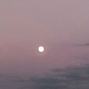 綺麗なお月様,夏の夕暮れ,月を愛でる,雲仲間,ベランダの画像