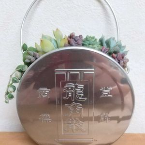 多肉植物,観葉植物,多肉植物寄せ植え,リメイク缶,リメイク鉢の画像