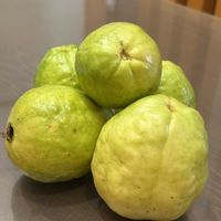 グァバ,自宅の庭,沖縄に実る果実の画像