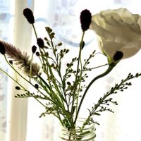 アキノキリンソウ,ケイトウ,トルコキキョウ,ワレモコウ,切り花の画像