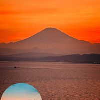 ヒマワリ,マリーゴールド, 富士山,江の島展望灯台,富士山の画像