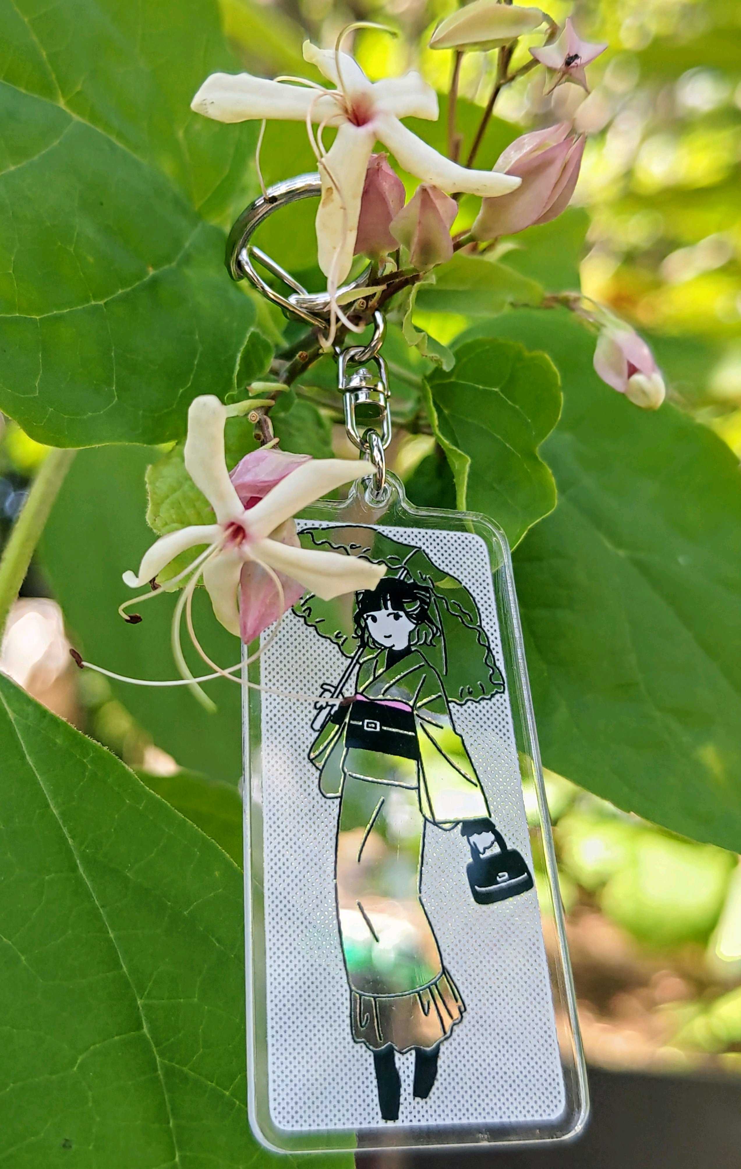 No.673 散歩道の植物とお散歩ちゃん9月② 2025/0908 センニンソウ