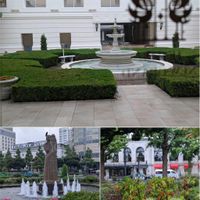 イチョウ,セイヨウトチノキ,あき,などわどけやぐ,チームチーバくんの画像