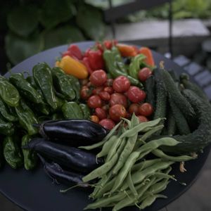 北海道,今日の収穫,オーガニック野菜 ,家庭菜園,庭の画像