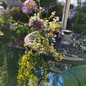 アリウム,カスミソウ,ゴールデンベル,ガーデニング,ガーデンテーブルの画像