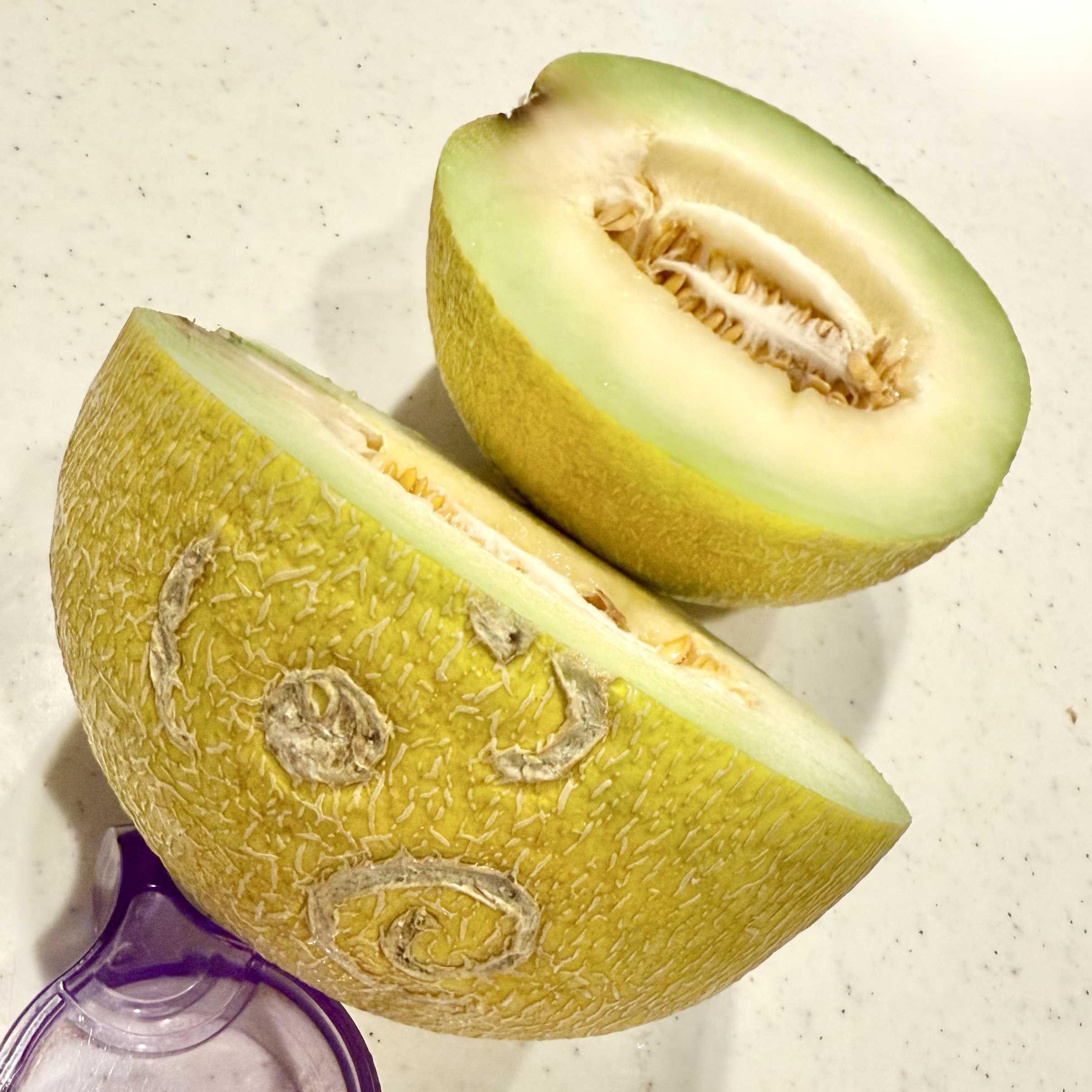 ころたんの一覧｜🍀GreenSnap（グリーンスナップ）