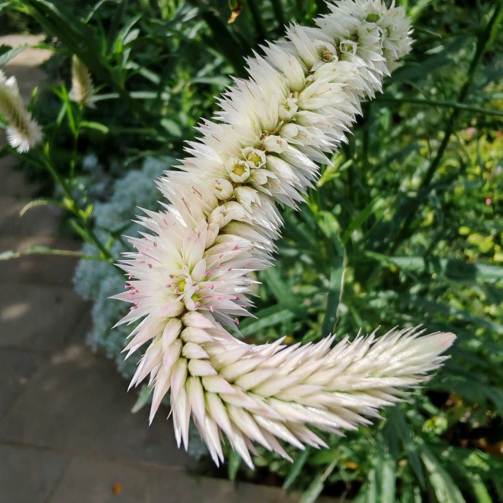 とりさんの港の見える丘公園への投稿
