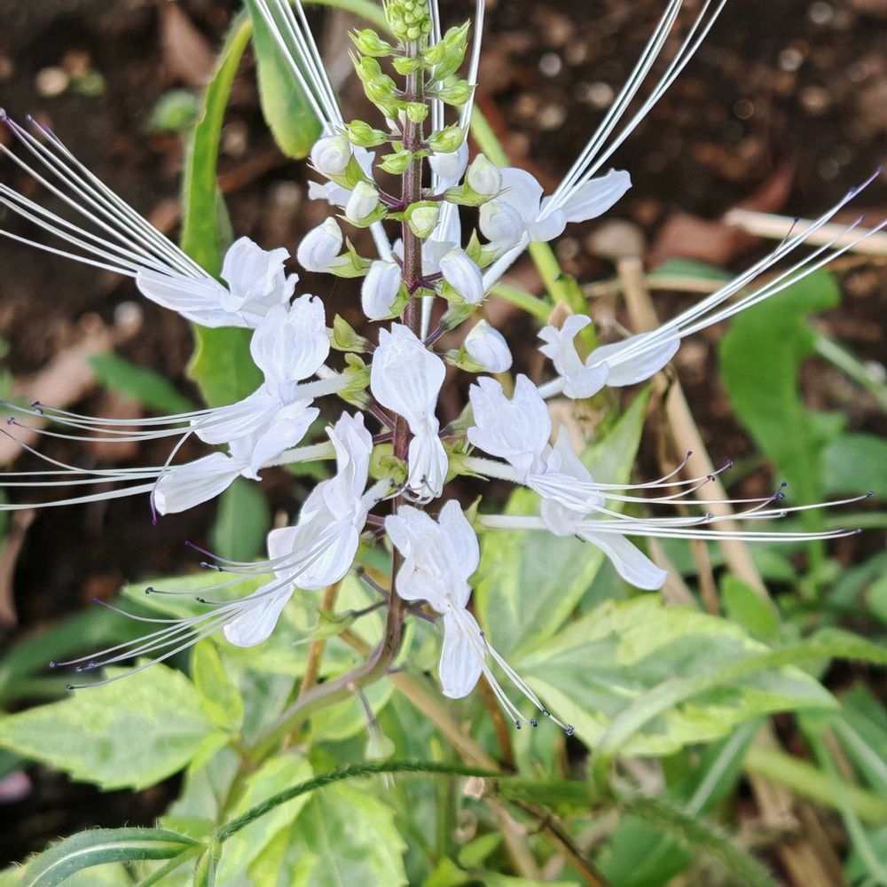 とりさんの港の見える丘公園への投稿