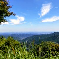 ススキ,きょうのお花,武蔵御嶽神社,so・raの小さな物語,たぬき桜の画像