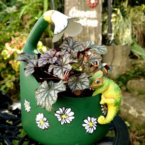 カメレオン,ヒューケラ,リメ鉢,リメイク,庭の画像