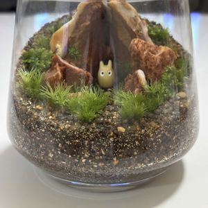苔(コケ),テラリウムの画像