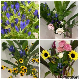 トイレ,今日のお花,パーキング,リハビリの道中,お出かけ先の画像