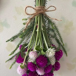 センニチコウ,ドライフラワー,トイレの画像