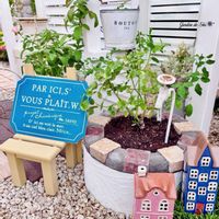 マツバギク,レイニーブルー,バラ ストロベリーアイス,フラワーカーペットローズ,トレニア・カタリーナ ラムレーズンの画像