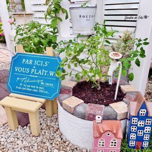 マツバギク,レイニーブルー,バラ ストロベリーアイス,フラワーカーペットローズ,トレニア・カタリーナ ラムレーズンの画像