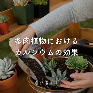 観葉植物,植物のある暮らし,肥料,自然のある暮らし,観葉植物のある暮らしの画像