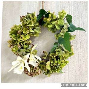 アジサイ,カトレア,カトレア,アジサイドライフラワー,ドライフラワーの画像