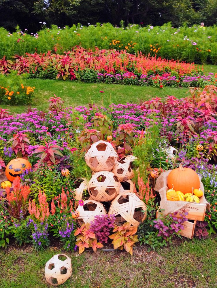 White Roseさんの里山ガーデン（大花壇）への投稿