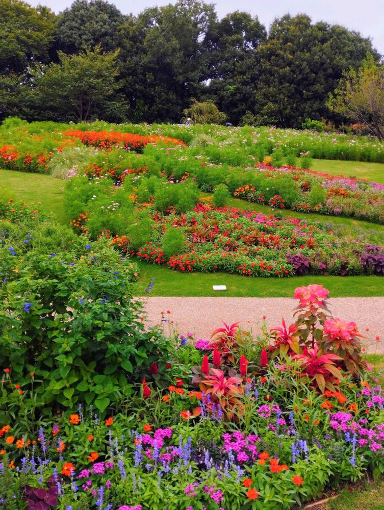 White Roseさんの里山ガーデン（大花壇）への投稿