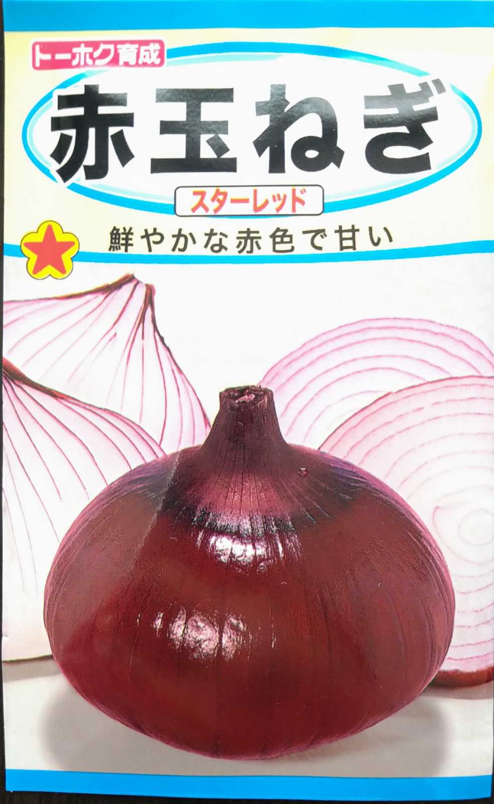 赤玉ねぎ🧅スターレッドの栽培チャレンジ👩‍🌾｜🍀GreenSnap（グリーン