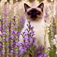 チューベローズ,沢桔梗,花のある暮らし,植物のある暮らし,花が好きの画像