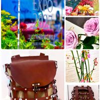 オミナエシ,オミナエシ(女郎花),お散歩,花のある暮らし,横浜イングリッシュガーデンの画像