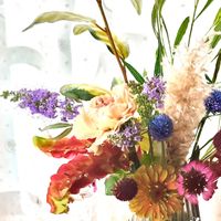 カーネーション,ガーベラ,ガイラルディア,ジニア,セイヨウニンジンボクの画像