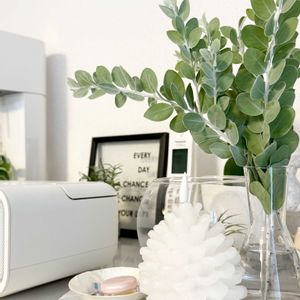 ローズマリー,パールアカシア,エア プランツ,多肉植物,テラリウムの画像