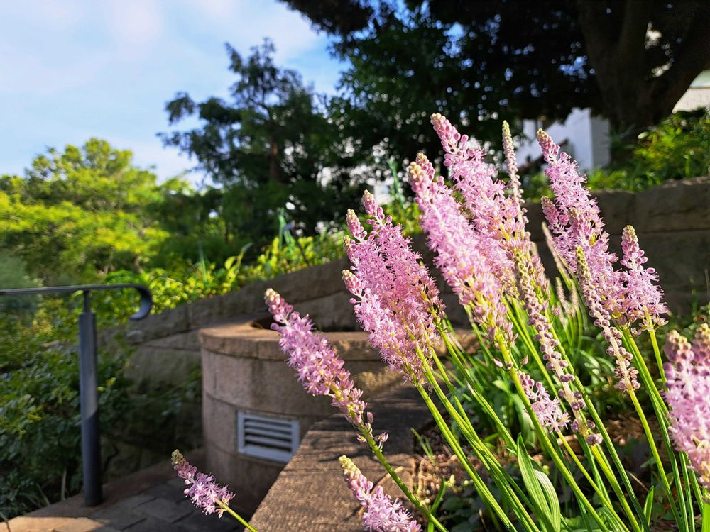 エリィさんの港の見える丘公園への投稿