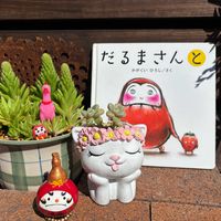 ツメレンゲ,だるま秀麗,ひょうたん,にぃさんの日,毎月23日は本と植物と。の画像