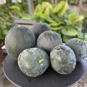 北海道,オーガニック,オーガニック野菜 ,ピノダディー,家庭菜園の画像