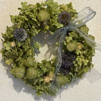 千日紅,フウセンカズラ,ルリタマアザミ,アナベル,ドライフラワーの画像