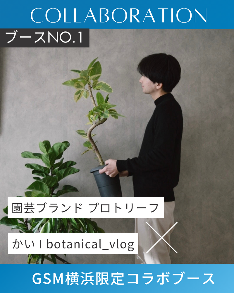 GreenSnap公式さんの中区への投稿