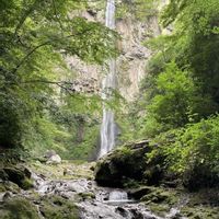 イワタバコ,イワタバコ,東椎屋の滝,初めての花♡,山野草大好きの画像