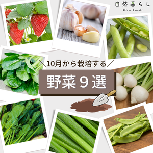 植物のある暮らし,肥料,プランター栽培,自然のある暮らし,家庭菜園奮闘日記の画像