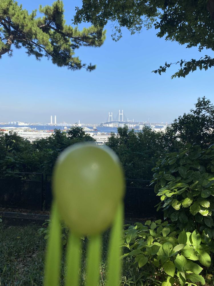 　米太郎さんの港の見える丘公園への投稿