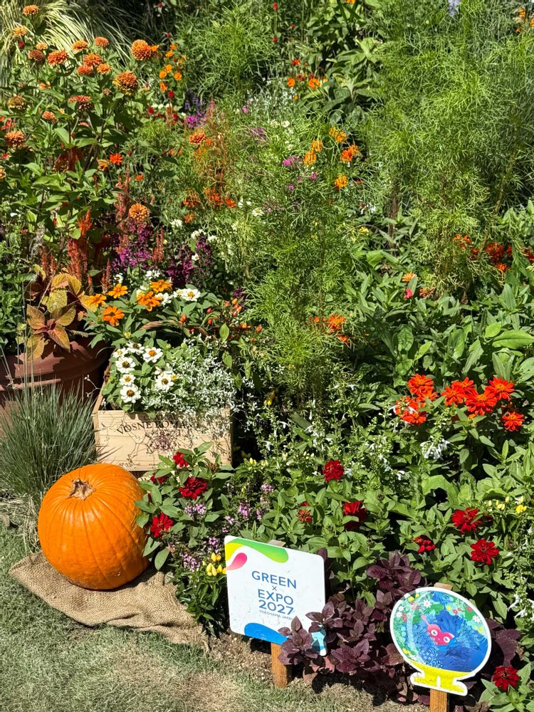 たかちゃんさんの里山ガーデン（大花壇）への投稿