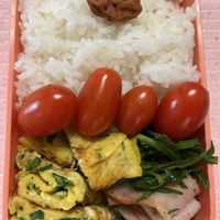 ウメ,チャイブ,エルバステラ(セリバオオバコ),ミニトマト　千恋,家庭菜園の画像