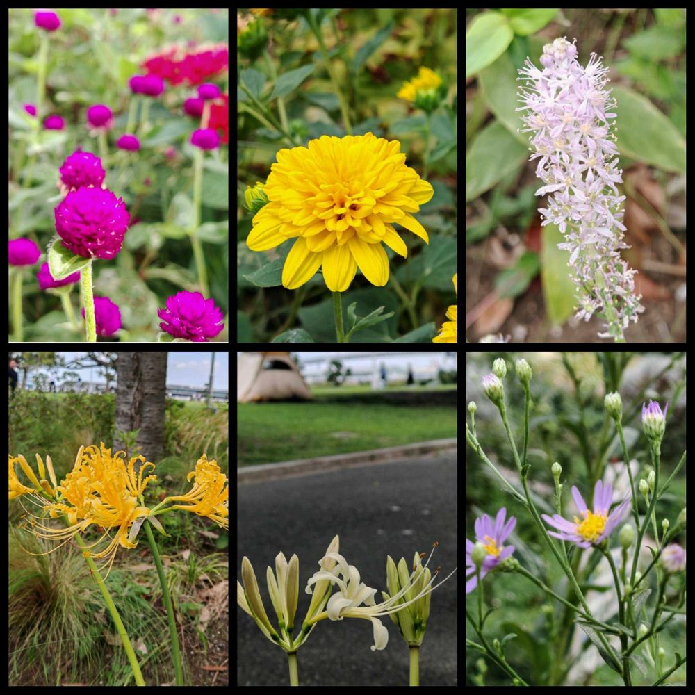 とりさんの中区への投稿