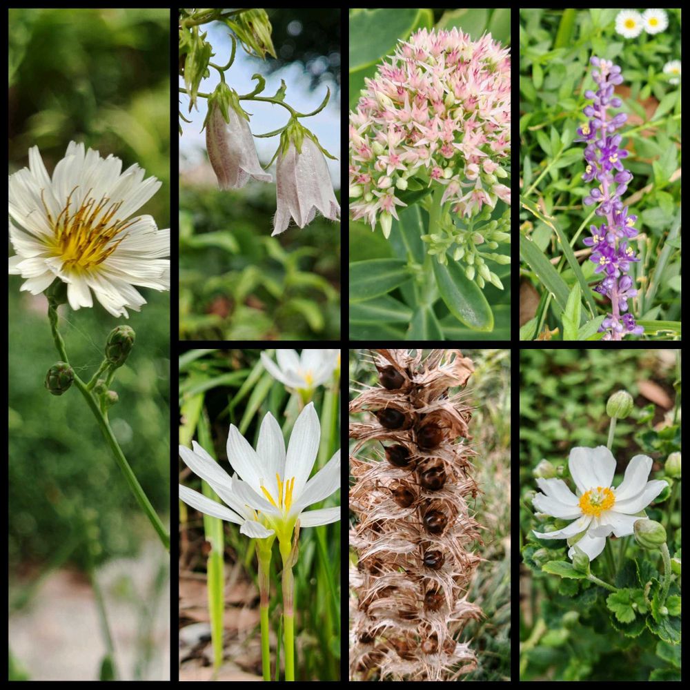 とりさんの中区への投稿