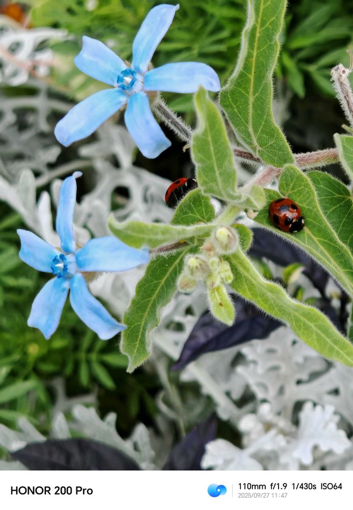 とりさんの中区への投稿