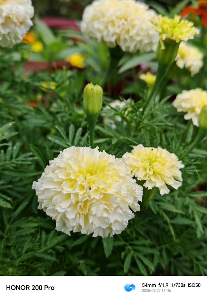 とりさんの中区への投稿