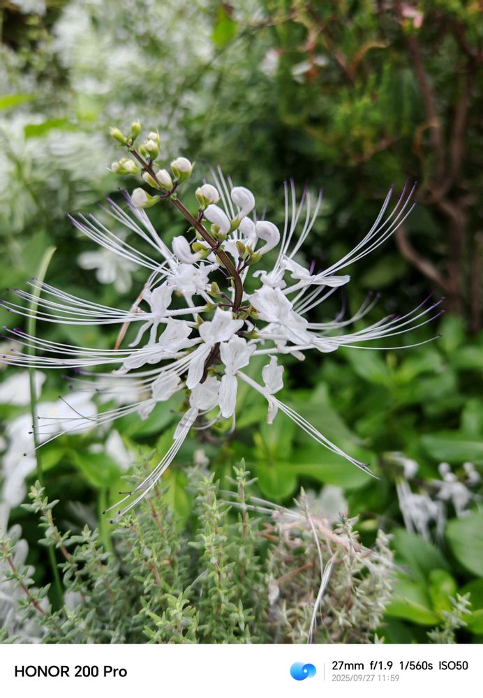 とりさんの中区への投稿